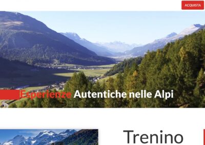 REALIZZAZIONE SITO VISIT VALTELLINA
