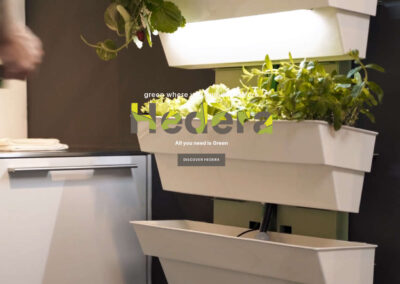 HEDERA