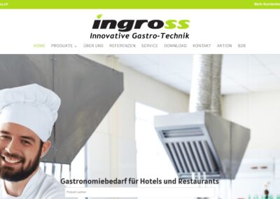 ECOMMERCE INGROSS